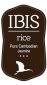 Ibis Rice